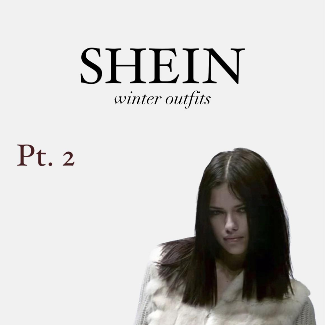 Shein Outfit Inspo Winter inspiration 3