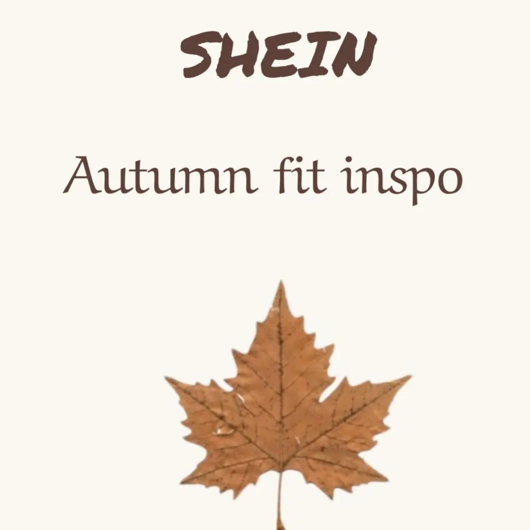 Shein Autumn Outfits inspiration 8